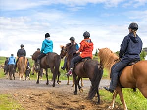 Horseback riding for equine therapy